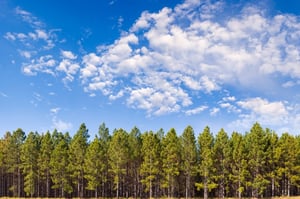 iStock_000006734454Small