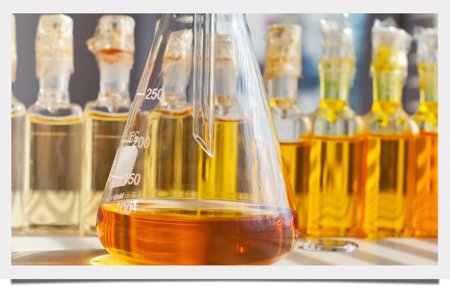 Renewable Energy Directive Update: European Commission to Scrap Biofuels Post-2020