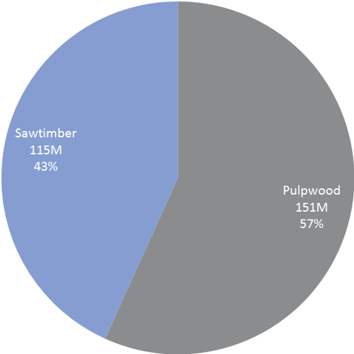 AsianBiopower_South_2.jpg.png