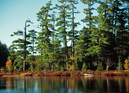 Ottawa National Forest, Sylvania Wilderness, Michigan