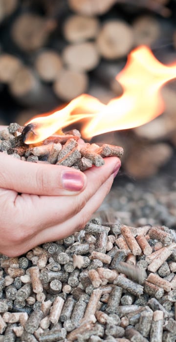 Wood-Pellets---third