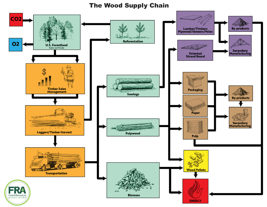 We Need to Worry About the Logging Sector