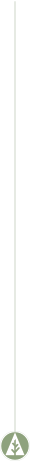 border-logo