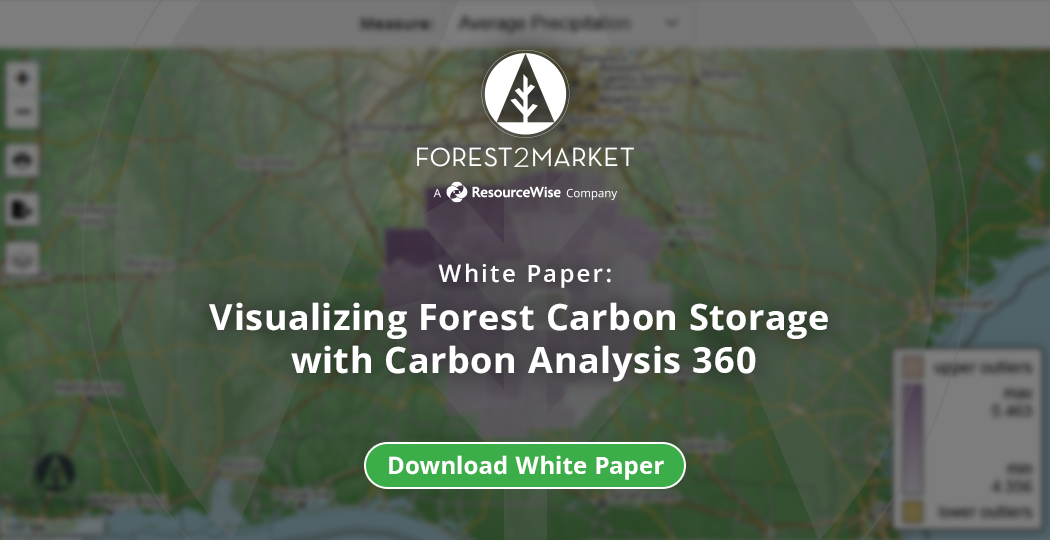 Visualizando o Armazenamento de Carbono Florestal