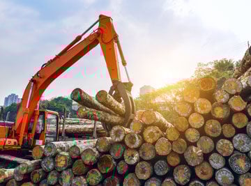 forestry-forest-products
