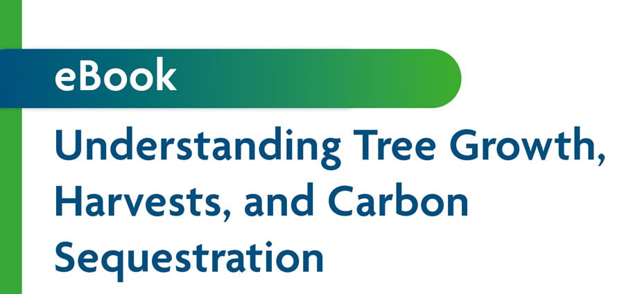 ebook-understanding-tree-growth