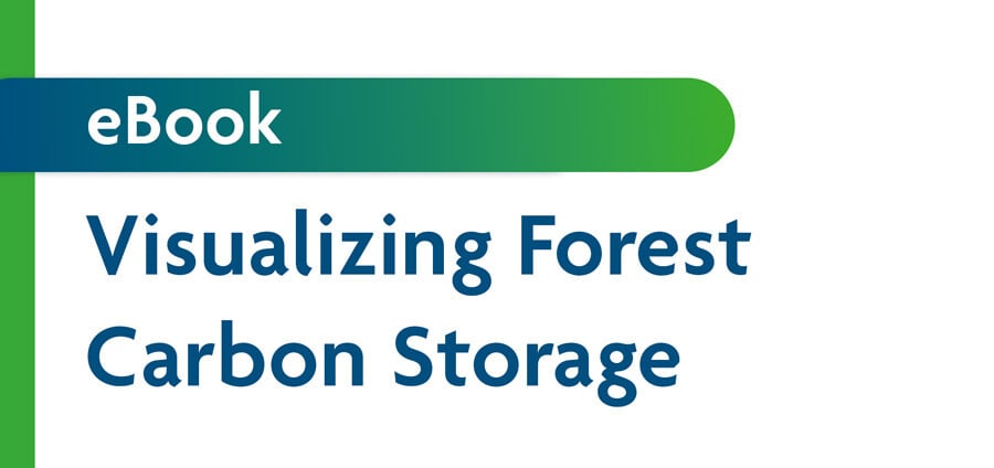 ebook-visualizing-forest-carbon-storage
