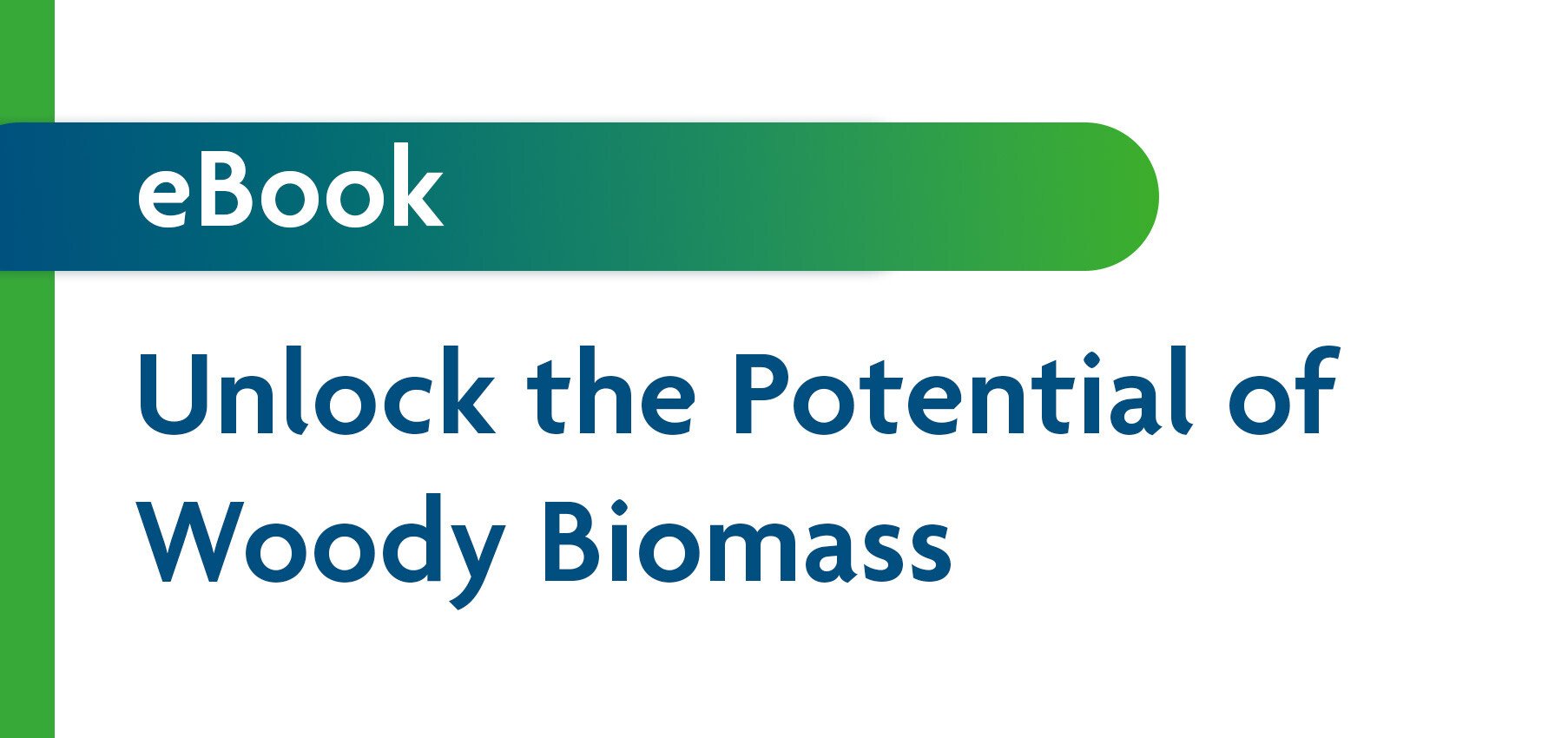 ebook-woody-biomass-rfs2